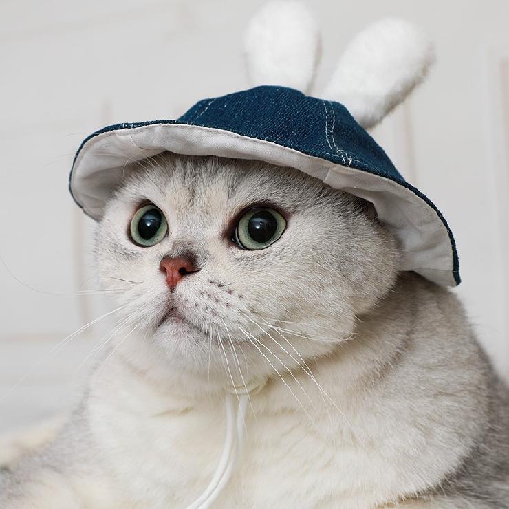 Dailypets Denim Rabbit Ear Cat Hat with Adjustable Drawstring for Photo Sessions