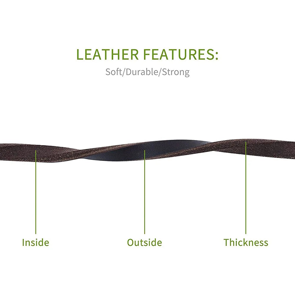 Dailypets Handmade Genuine Leather Pet Leash for Puppies and Cats with Metal Clip