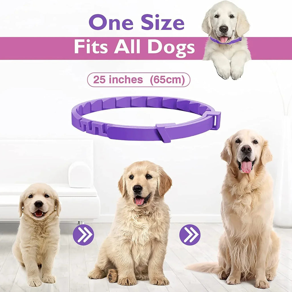 Dailypets Adjustable Flea and Tick Collar for Dogs and Cats Long-Lasting Protection