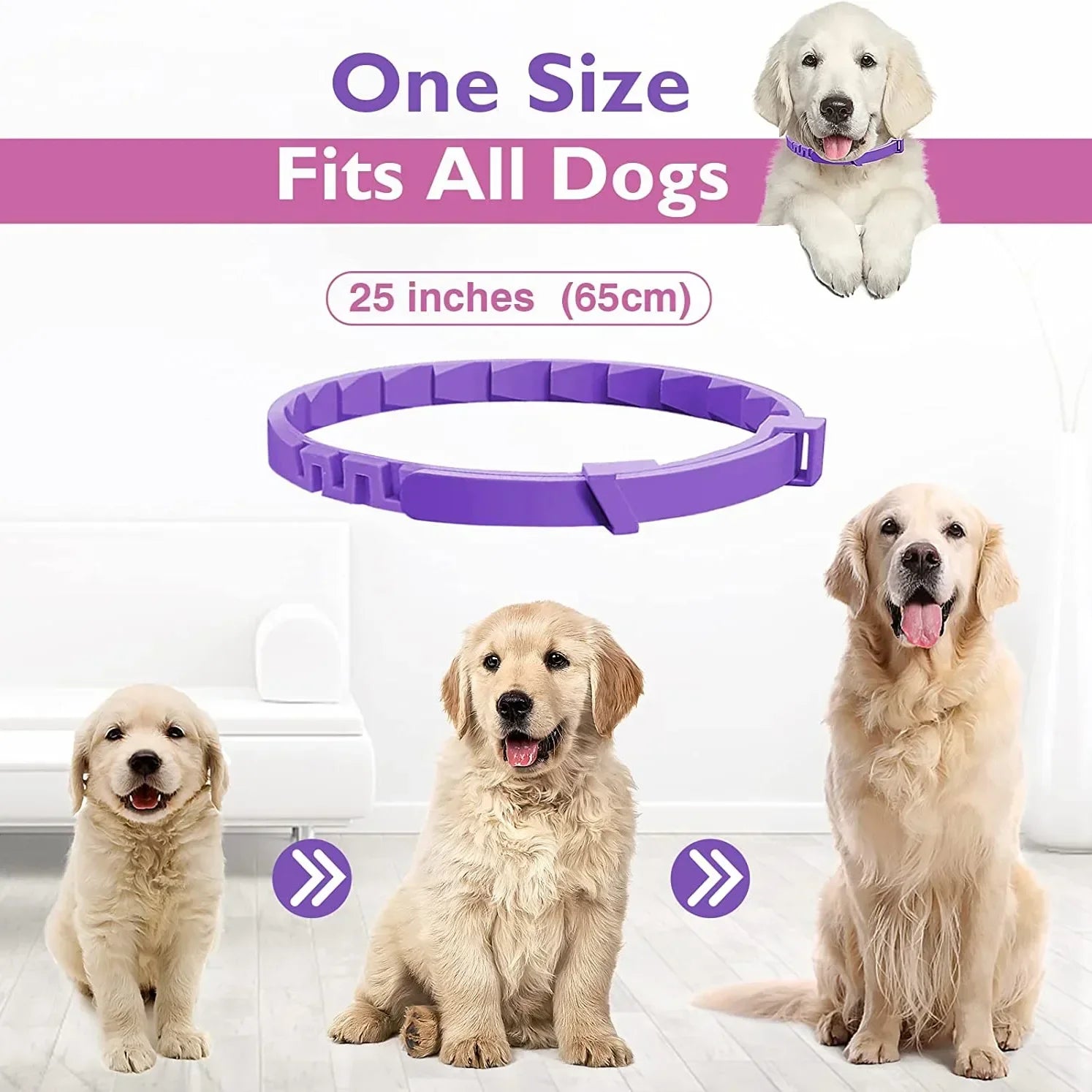Dailypets Adjustable Flea and Tick Collar for Dogs and Cats Long-Lasting Protection