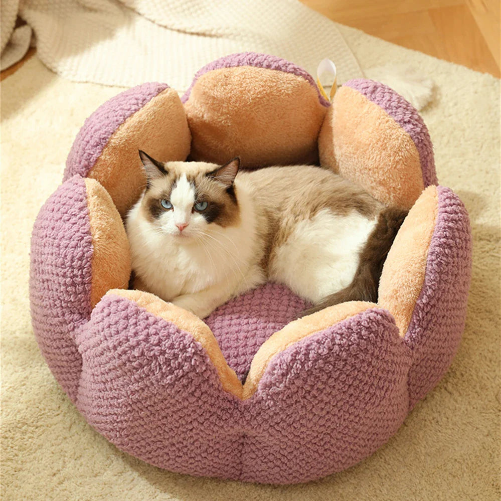 Dailypets Luxury Cat Bed, Calming Shell Throne with Anti-Slip Bottom