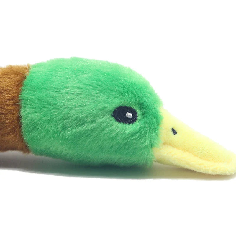 Dailypets Plush Squeaky Dog Toy Duck Design Daily Play