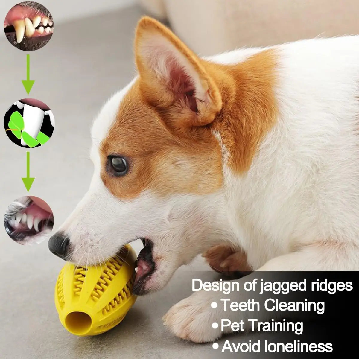 Dailypets Treat Dispensing Dog Toy Interactive Snack Ball