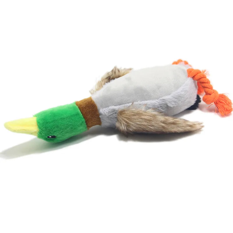 Dailypets Plush Squeaky Dog Toy Duck Design Daily Play