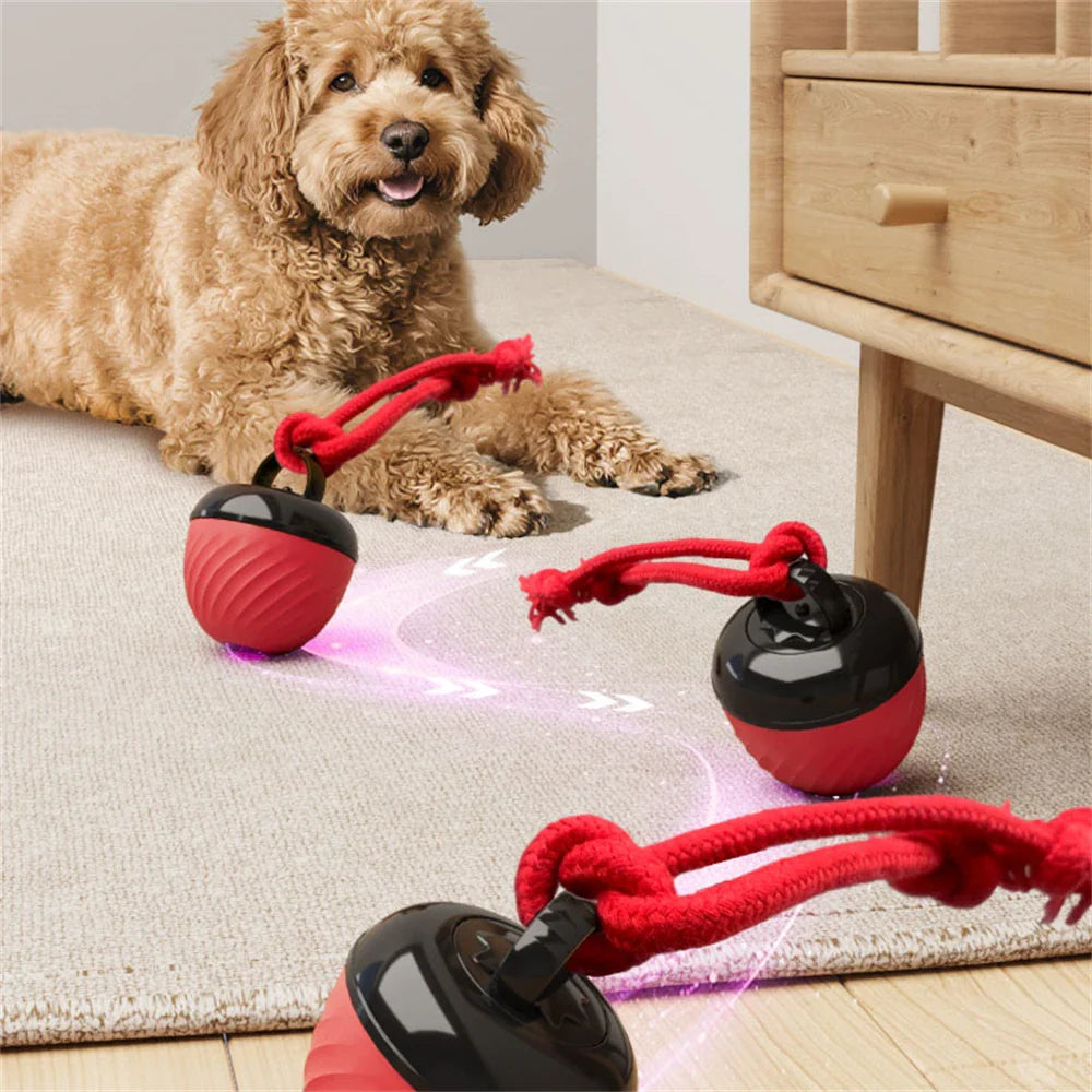 Dailypets Automatic Moving Ball for Pets with USB Rechargeable Interactive Play Fun