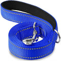 Dailypets Reflective Nylon Dog Leash with Comfortable Grip for Safe Day and Night Walks