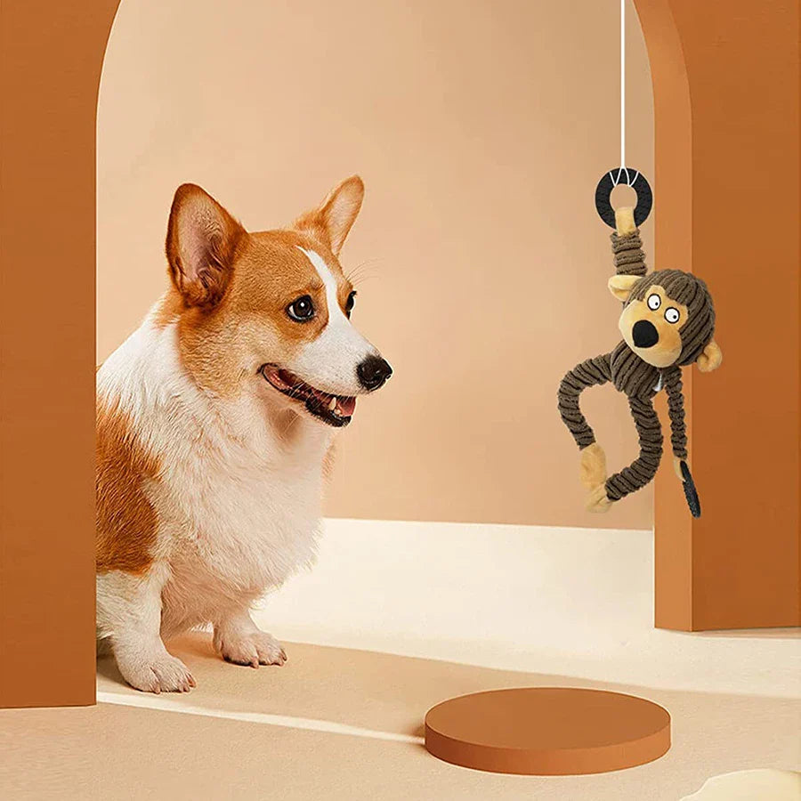 Dailypets Plush Squeaky Dog Toy Monkey Training Reward Toy
