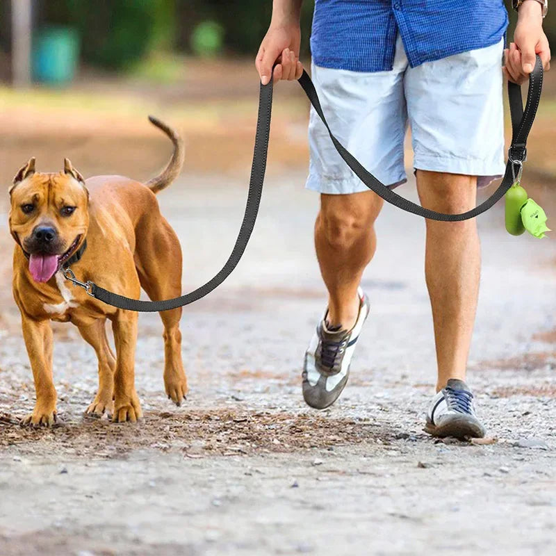 Dailypets Reflective Nylon Dog Leash with Comfortable Grip for Safe Day and Night Walks