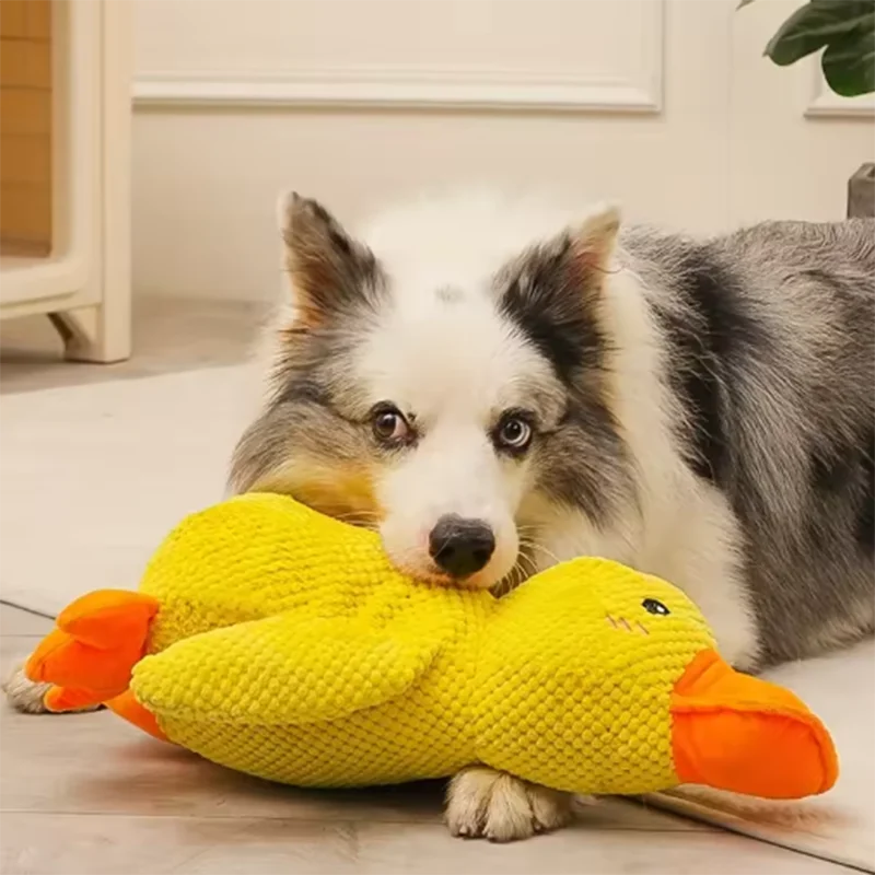 Dailypets Plush Squeaky Dog Toy Cute Duck Toy for Daily Play