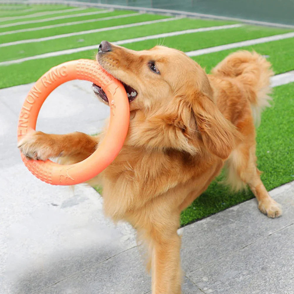 Dailypets Training Ring Dog Toy Gentle Grip Fetch Ring