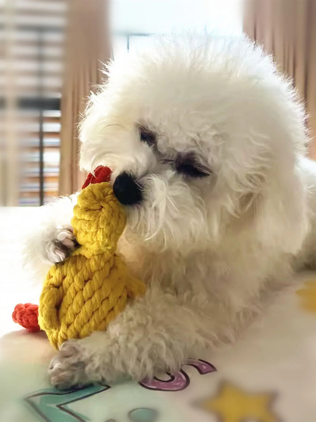 Dailypets Cotton Rope Dog Toy Hand Woven Pet Chew Toy