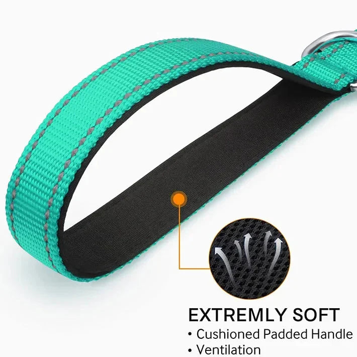 Dailypets Reflective Nylon Dog Leash with Comfortable Grip for Safe Day and Night Walks