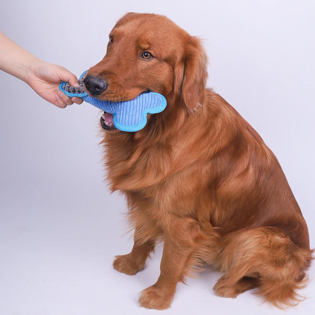 Dailypets Plush Squeaky Dog Toy for Light Chewers