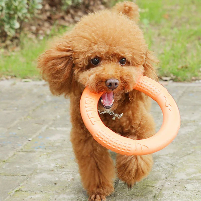 Dailypets Training Ring Dog Toy Gentle Grip Fetch Ring