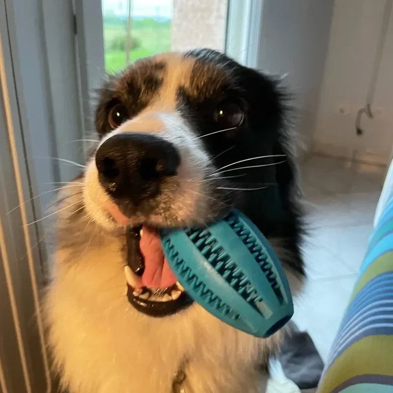 Dailypets Treat Dispensing Dog Toy Interactive Snack Ball