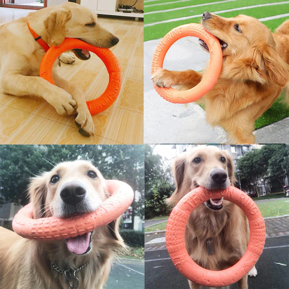 Dailypets Training Ring Dog Toy Gentle Grip Fetch Ring