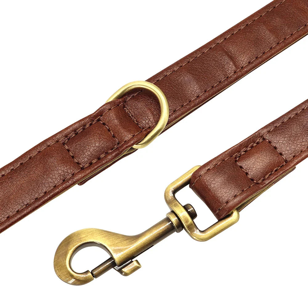 Dailypets Premium Leather Dog Lead with 150 cm Length for Everyday Walking Control