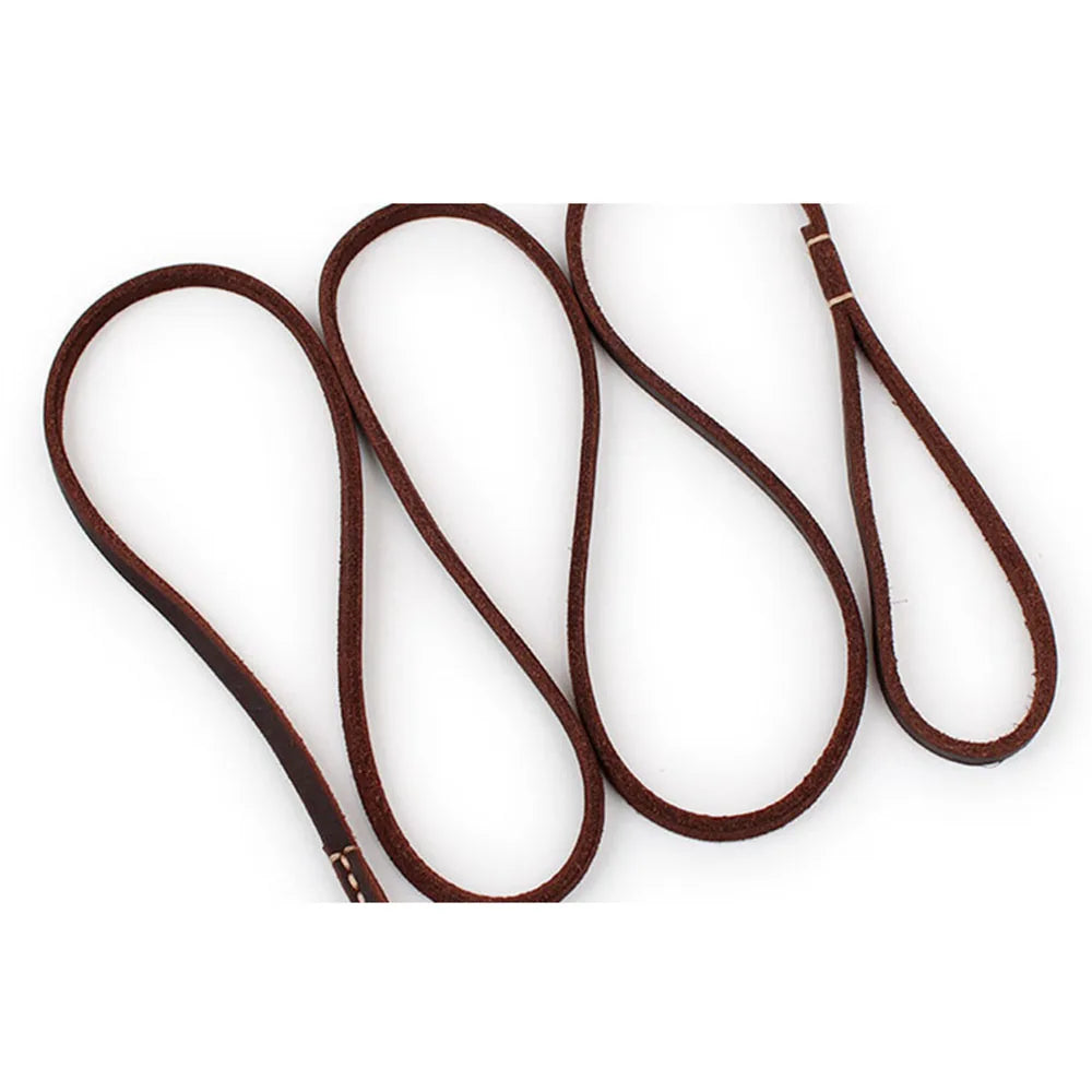 Dailypets Handmade Genuine Leather Pet Leash for Puppies and Cats with Metal Clip