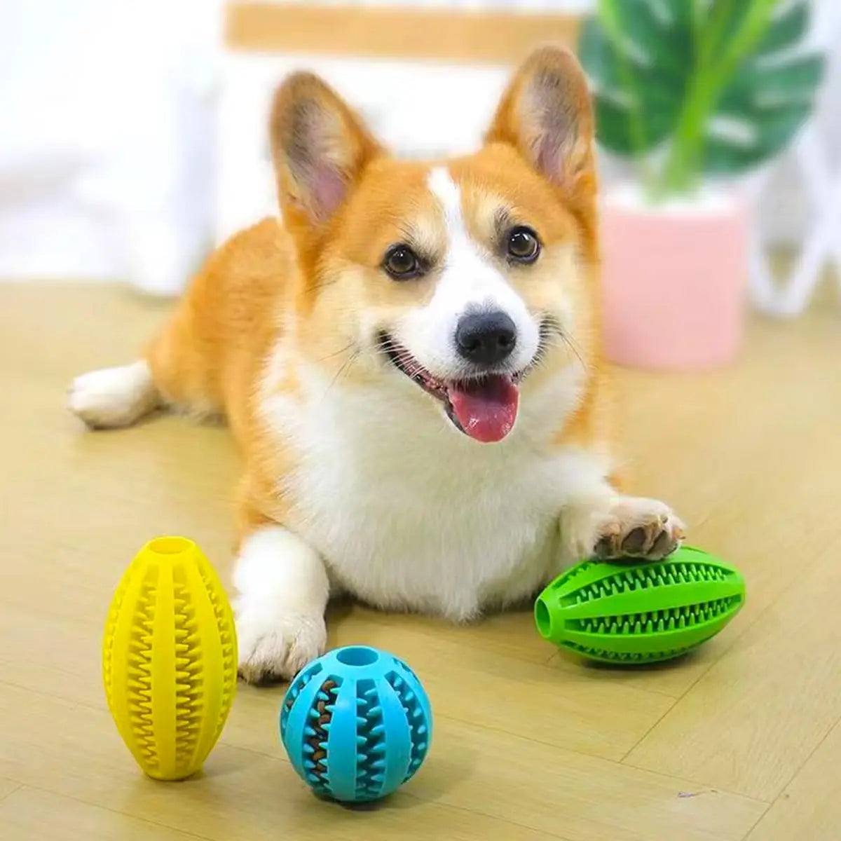 Dailypets Treat Dispensing Dog Toy Interactive Snack Ball