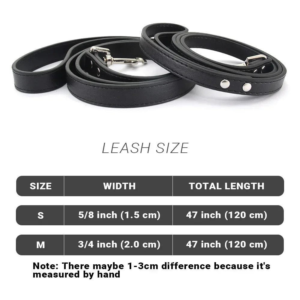 Dailypets Soft PU Leather Dog Leash with Alloy Hook for Everyday Walks and Training