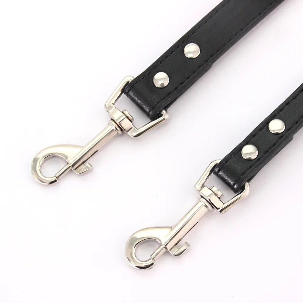 Dailypets Soft PU Leather Dog Leash with Alloy Hook for Everyday Walks and Training