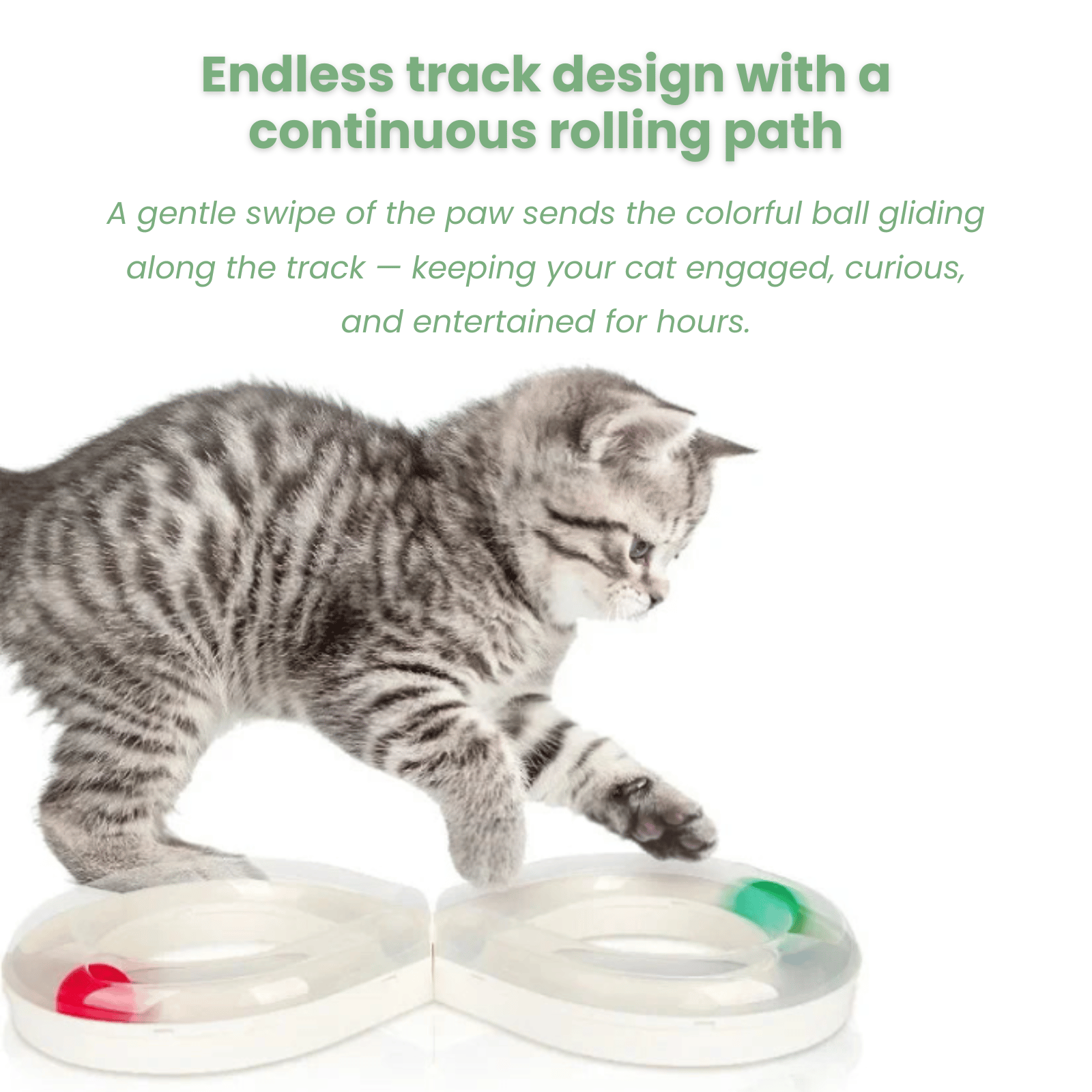 Dailypets Interactive Figure-8 Ball Track Toy for Cats with Rolling Ball Activity