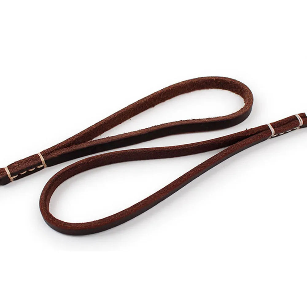 Dailypets Handmade Genuine Leather Pet Leash for Puppies and Cats with Metal Clip