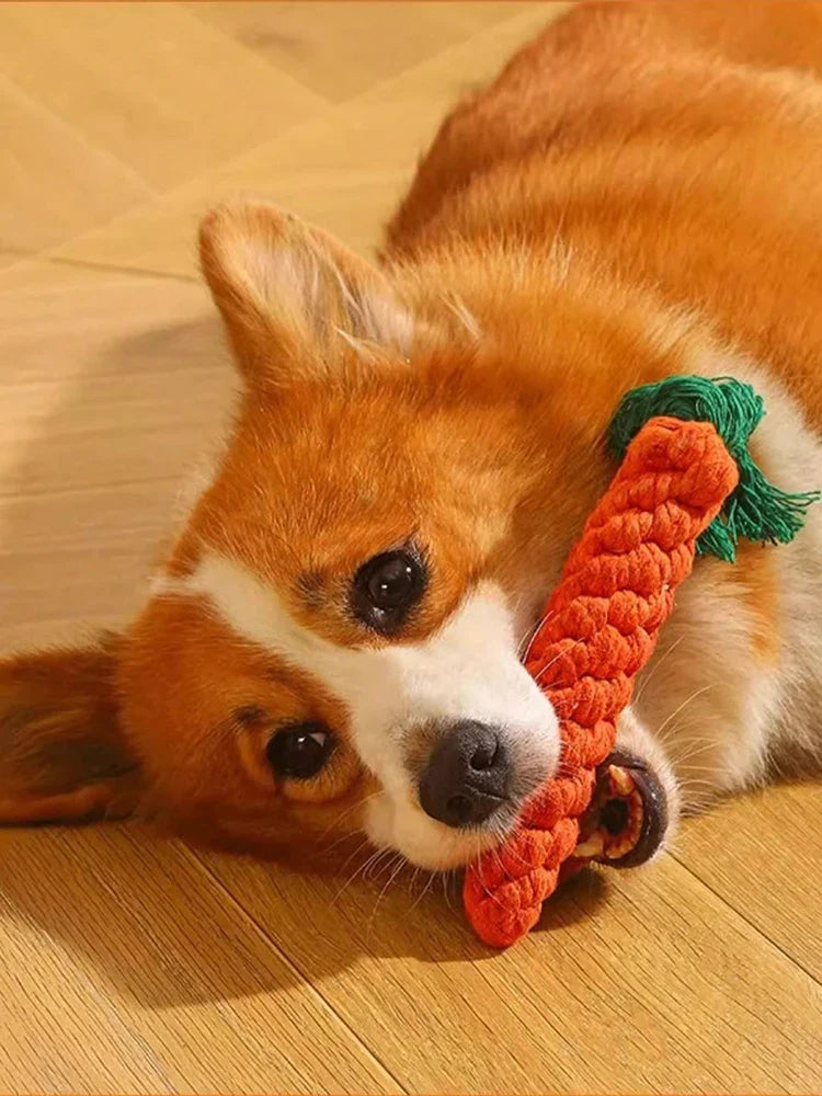 Dailypets Cotton Rope Dog Toy Hand Woven Pet Chew Toy