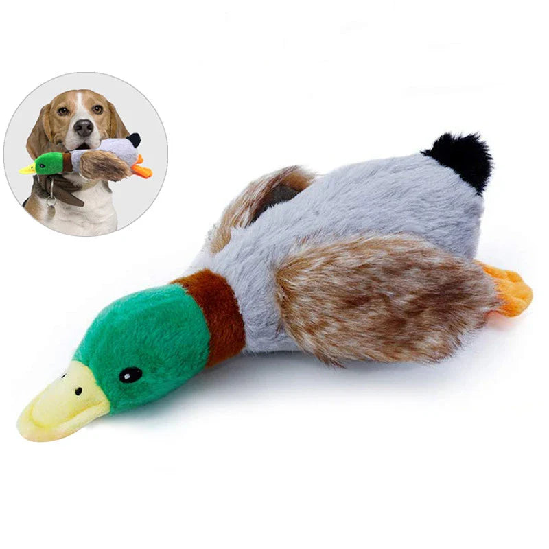 Dailypets Plush Squeaky Dog Toy Duck Design Daily Play
