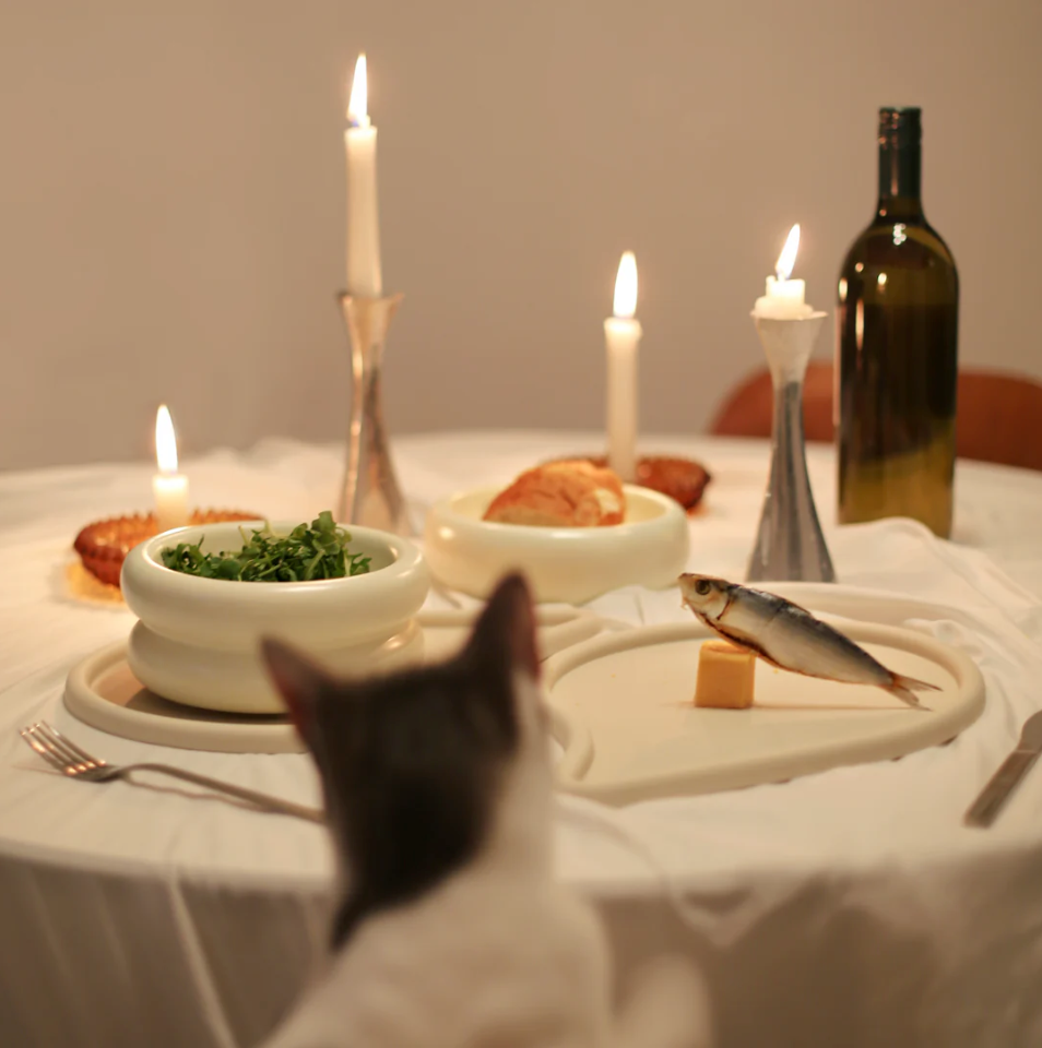 Dailypets Elevated Ceramic Cat Dining Bowl