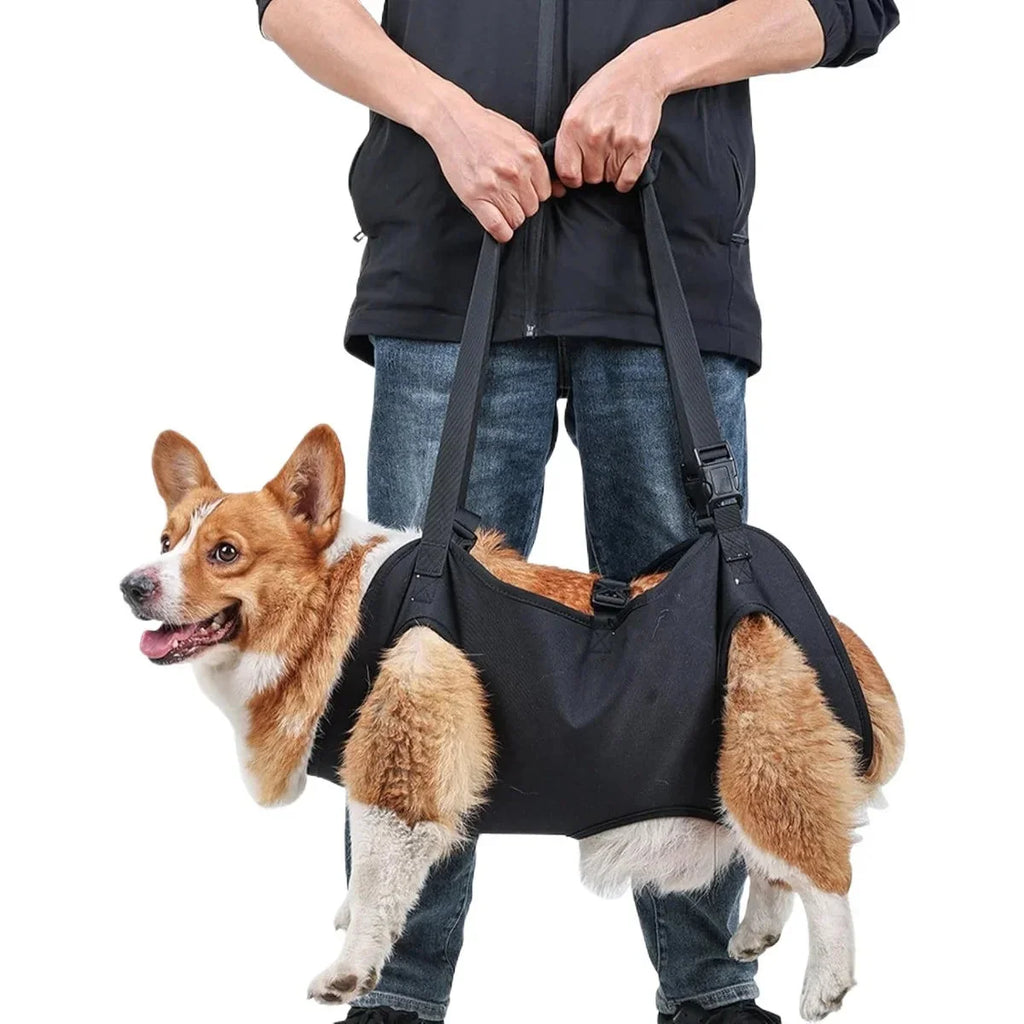 Dailypets Adjustable Dog Support Sling for Walking Assistance and Everyday Mobility