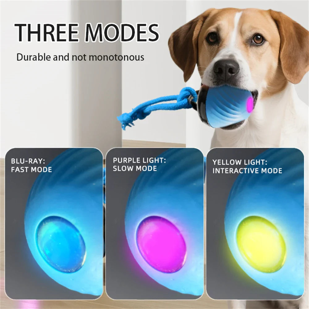 Dailypets Automatic Moving Ball for Pets with USB Rechargeable Interactive Play Fun