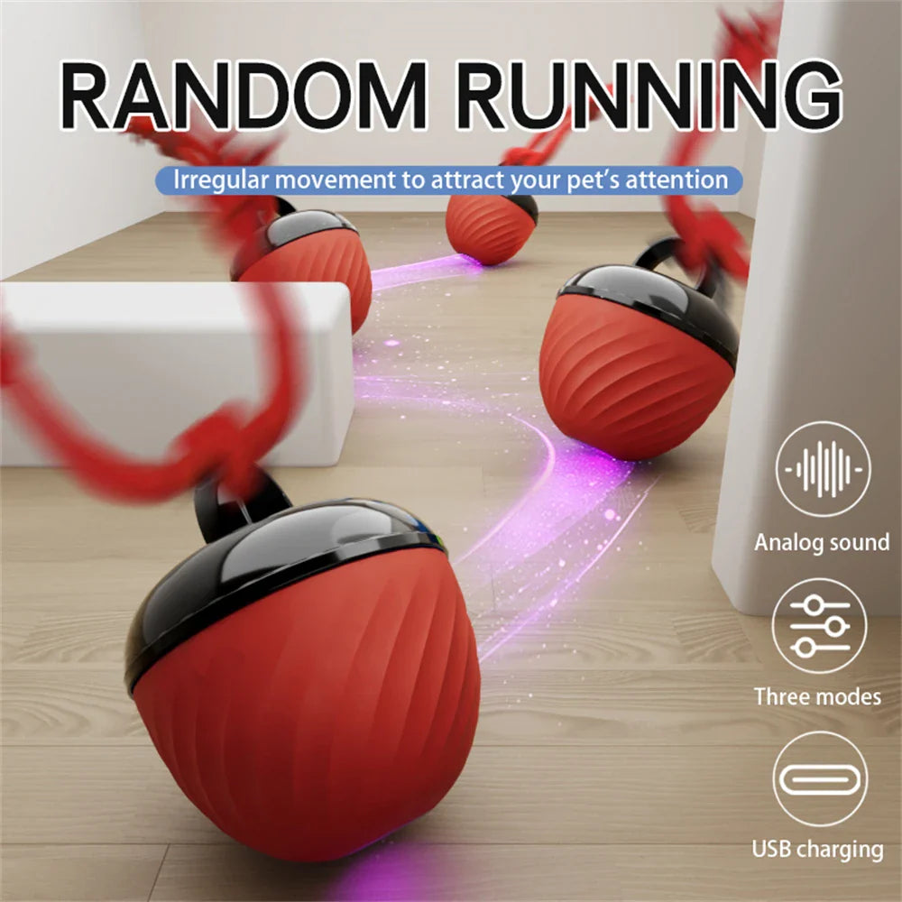 Dailypets Automatic Moving Ball for Pets with USB Rechargeable Interactive Play Fun