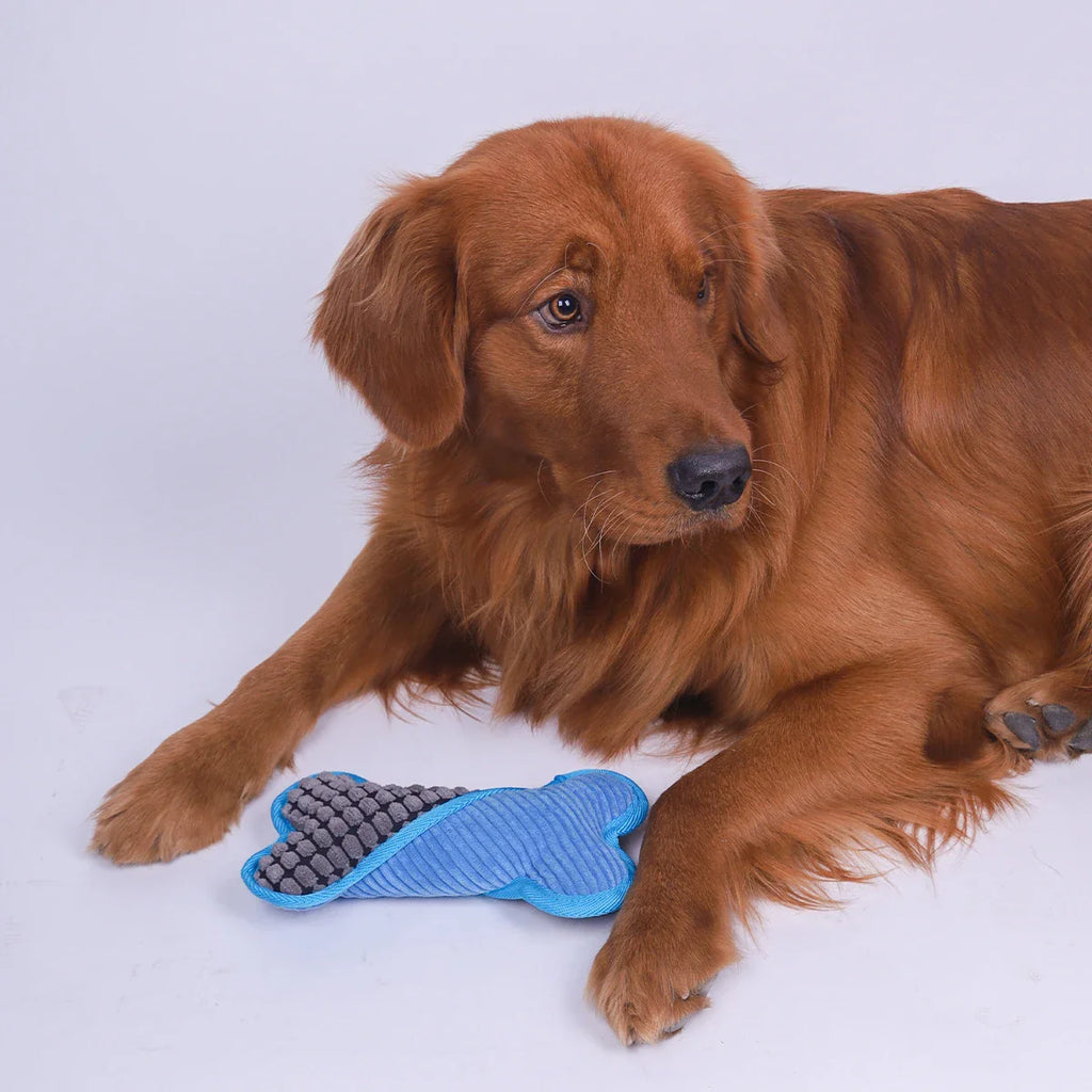 Dailypets Plush Squeaky Dog Toy for Light Chewers