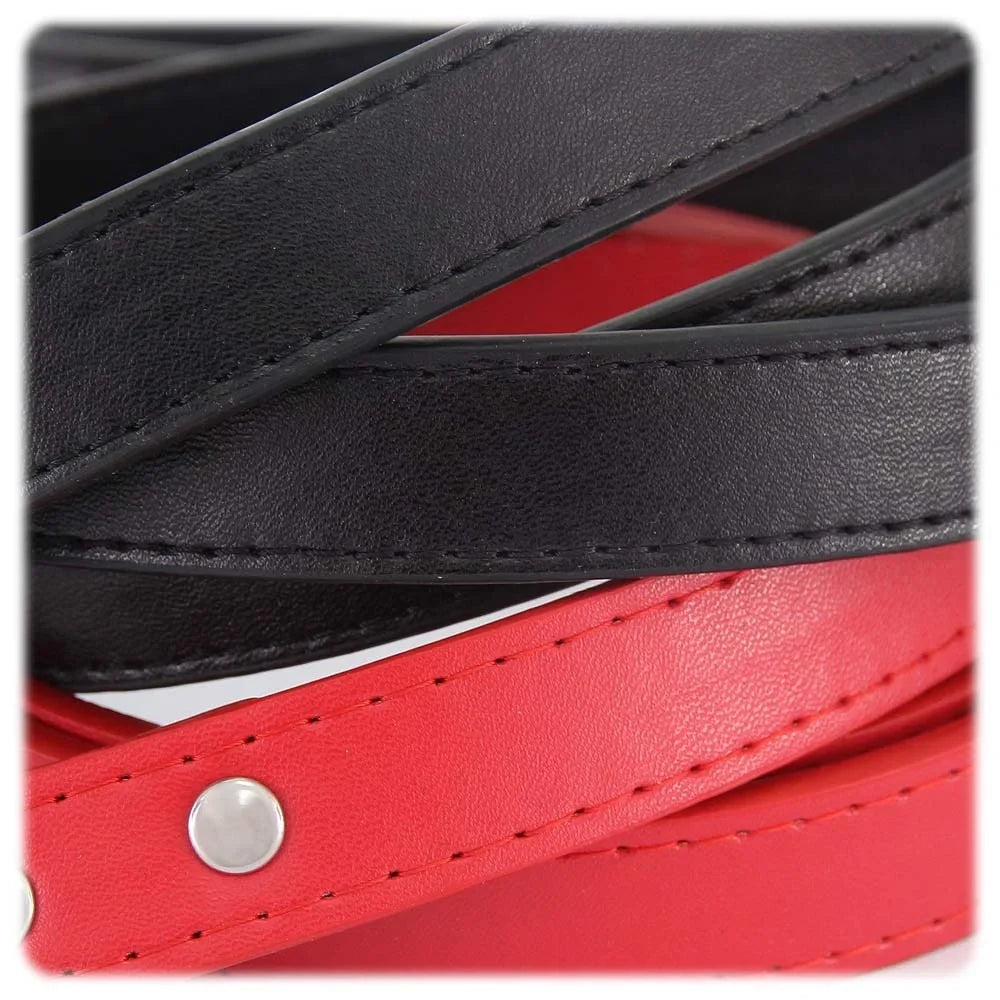 Dailypets Soft PU Leather Dog Leash with Alloy Hook for Everyday Walks and Training