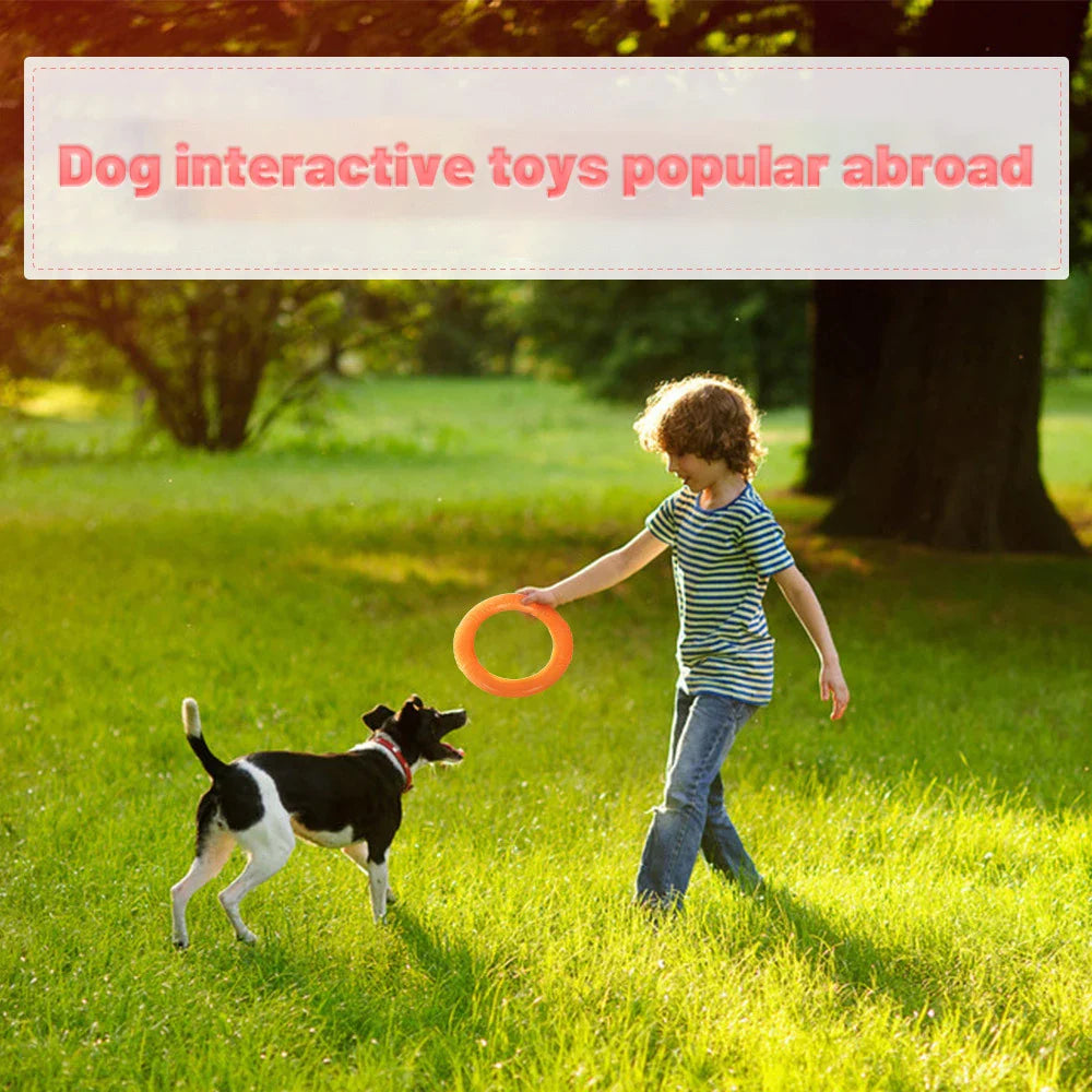 Dailypets Training Ring Dog Toy Gentle Grip Fetch Ring