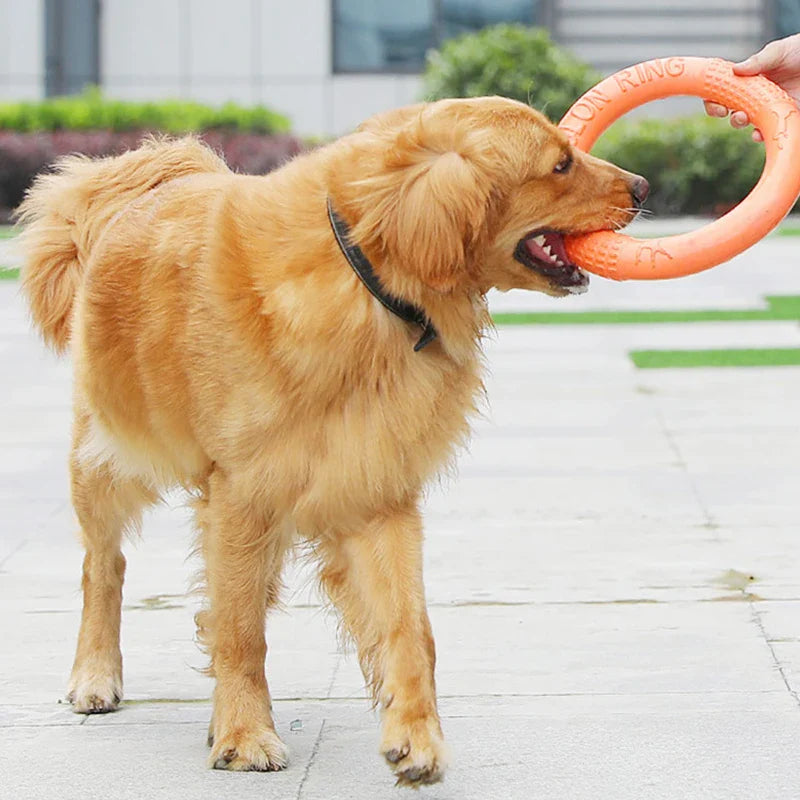 Dailypets Training Ring Dog Toy Gentle Grip Fetch Ring