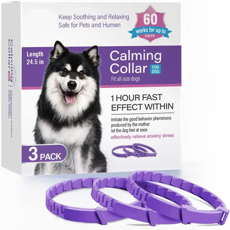 Dailypets Adjustable Flea and Tick Collar for Dogs and Cats Long-Lasting Protection