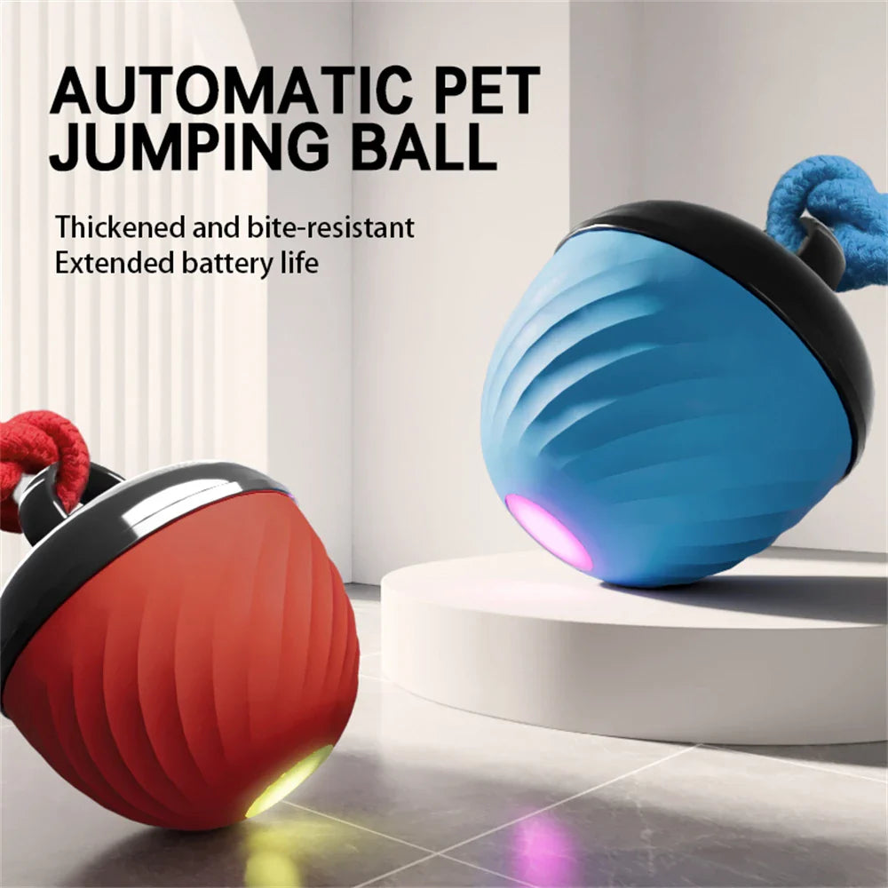 Dailypets Automatic Moving Ball for Pets with USB Rechargeable Interactive Play Fun
