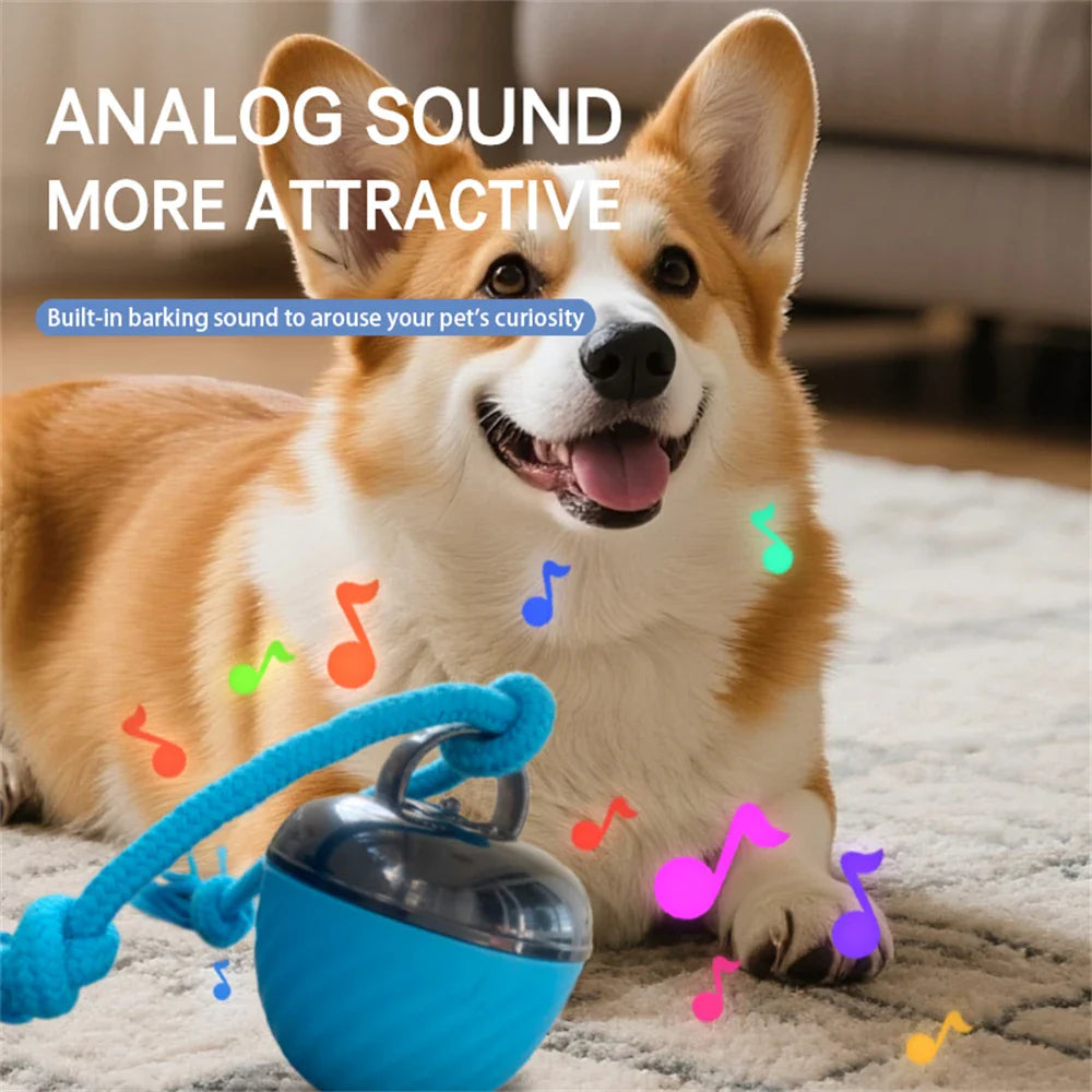 Dailypets Automatic Moving Ball for Pets with USB Rechargeable Interactive Play Fun