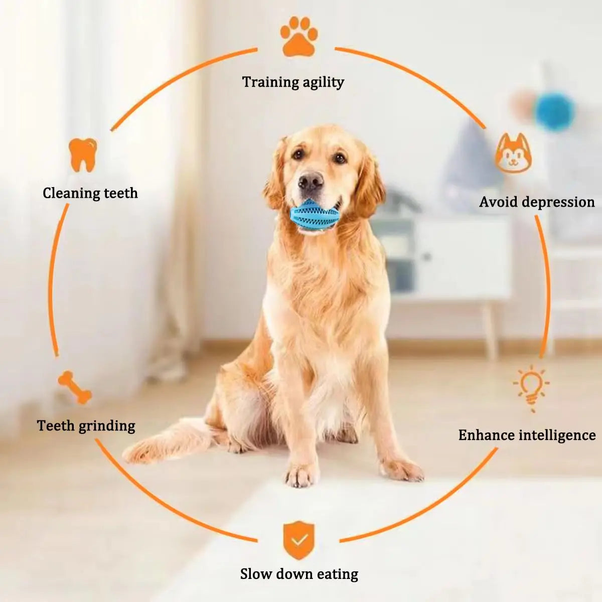 Dailypets Treat Dispensing Dog Toy Interactive Snack Ball