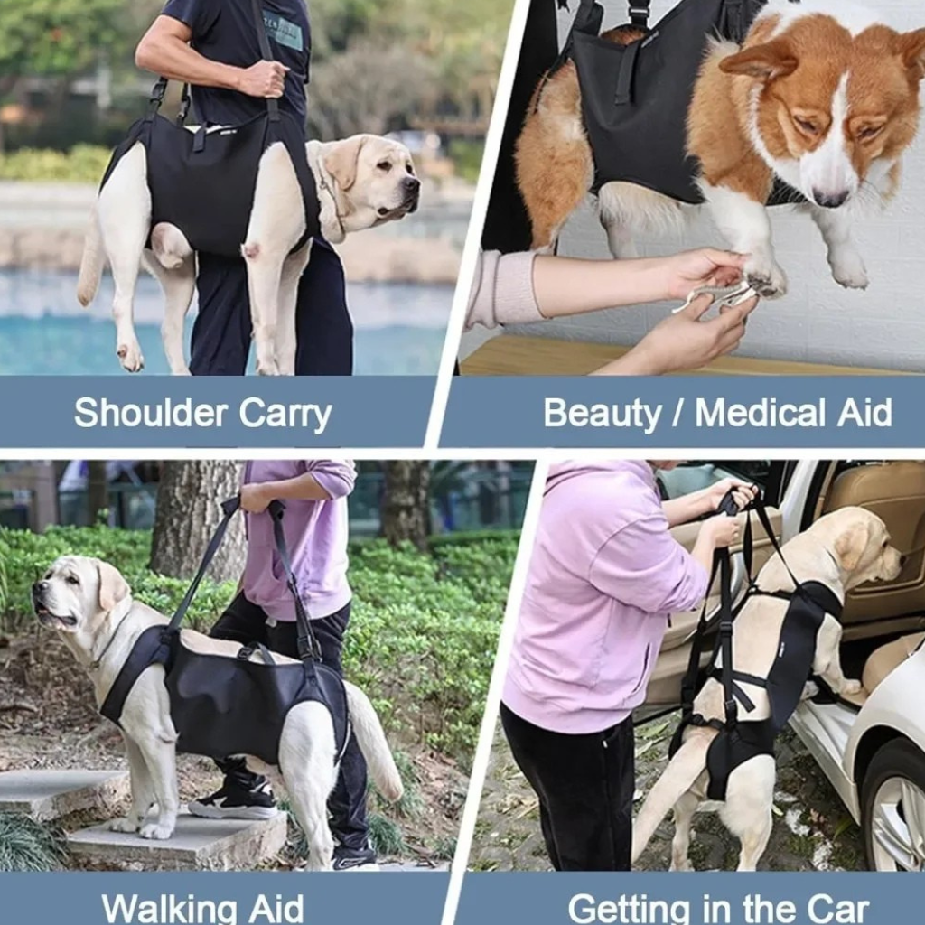 Dailypets Adjustable Dog Support Sling for Walking Assistance and Everyday Mobility