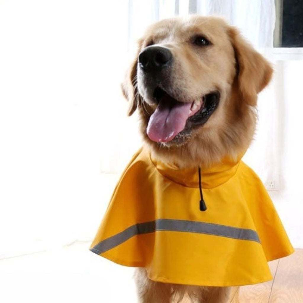 Dailypets Dog Walking Raincoat, Reflective Jacket with Easy Velcro Fit