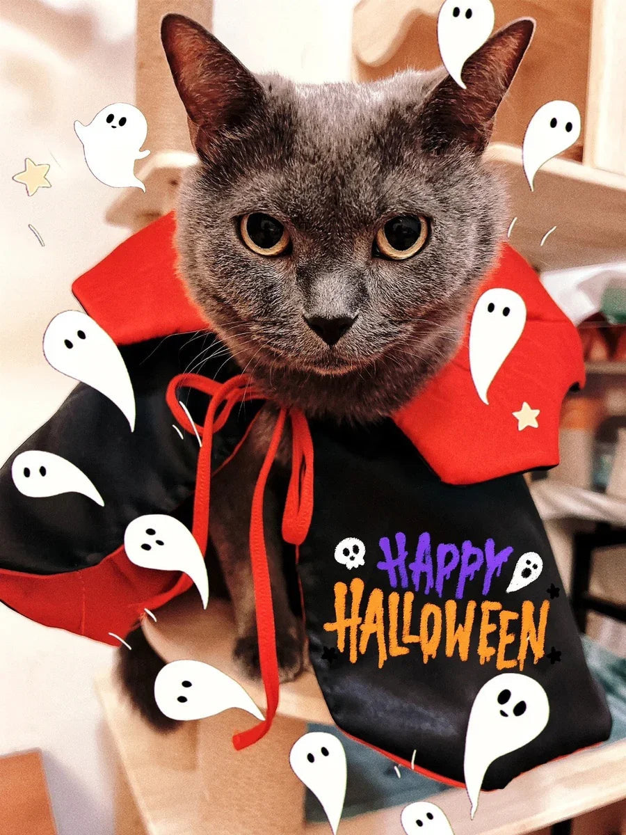 Dailypets Vampire Cat Cape with Dramatic Collar for Halloween and Costume Parties