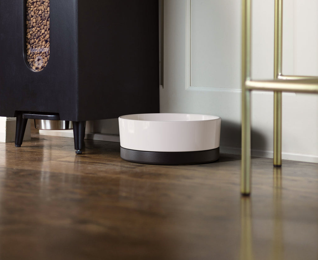 Dailypets Premium Pet Bowl, Water Bowl with Mid-Century Base