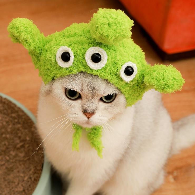 Dailypets Cute Alien Cat Accessory Set for Photo Sessions and Costume Parties