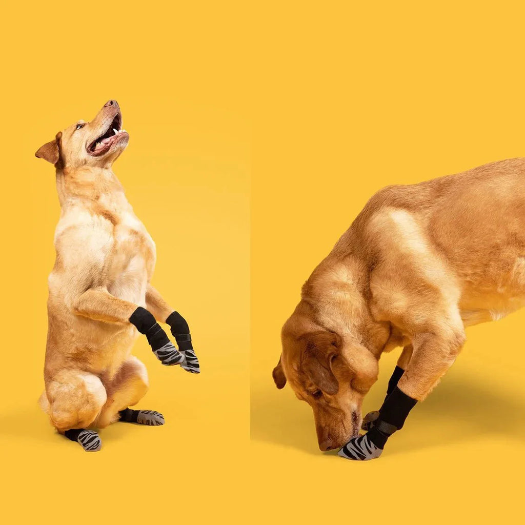 Dailypets Anti-Slip Dog Socks with Extra Grip for Indoor Comfort and Paw Protection