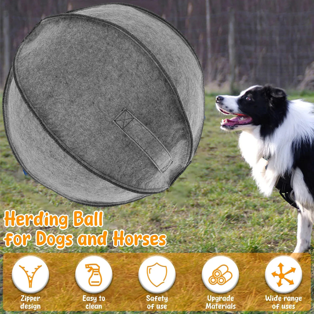 Dailypets Large Herding Ball for Dogs – Outdoor Training & Enrichment