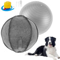 Dailypets Large Herding Ball for Dogs – Outdoor Training & Enrichment
