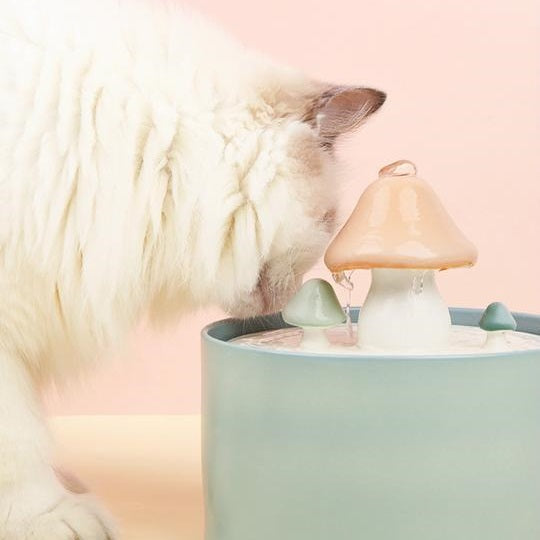 Dailypets Ceramic Cat Water Fountain with Mushroom Design and 61oz Capacity